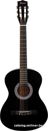 Акустическая гитара Terris TC-3805A BK