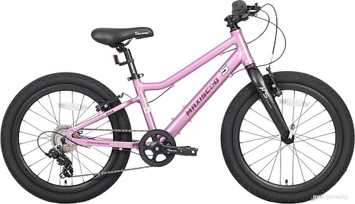 Детский велосипед Maxiscoo 5bike 20 L200 2025 MSC-M5-2013 (розовый сапфир)