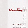 Salvatore Ferragamo Tuscan Soul EdT (40 мл)