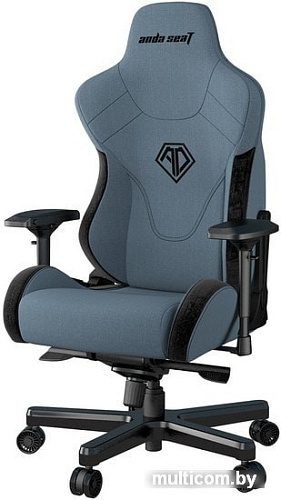 Кресло AndaSeat T-Pro 2 (голубой/черный)