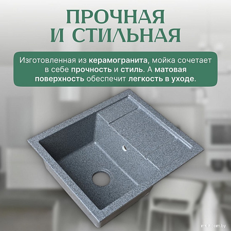 Кухонная мойка Saniteco Fortis (графит)