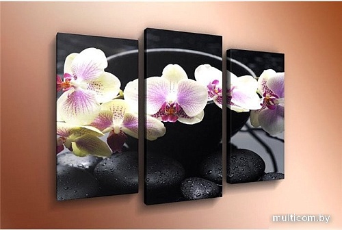 Модульная картина Arthata m-000503 120x80