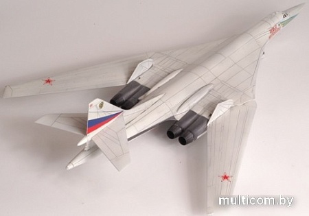 Звезда Российский сверхзвуковой стратегический бомбардировщик Ту-160
