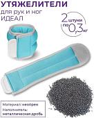 Комплект утяжелителей Indigo Идеал 2x0.3 кг SM-408/0,3 (бирюзовый)