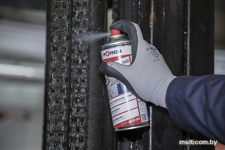 Смазка для узлов FORCH Графитная мультисмазка S442 400мл 65301520