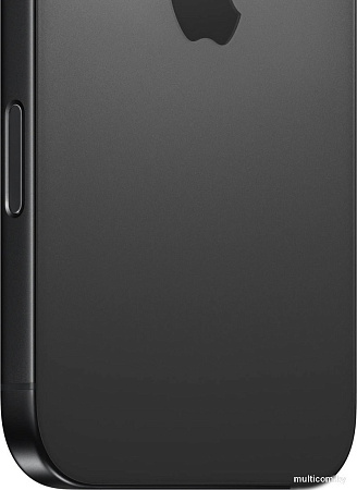 Смартфон Apple iPhone 16 Pro Max Dual SIM 256GB (черный титан)