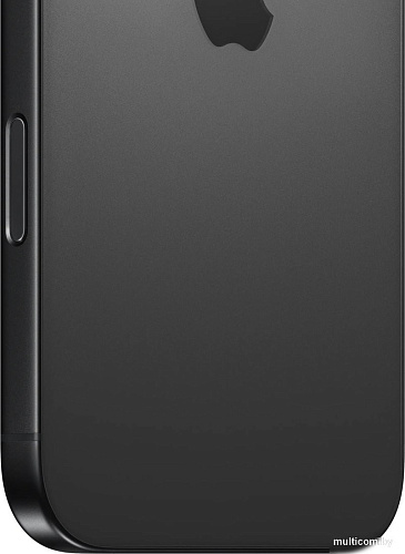 Смартфон Apple iPhone 16 Pro Max Dual SIM 256GB (черный титан)