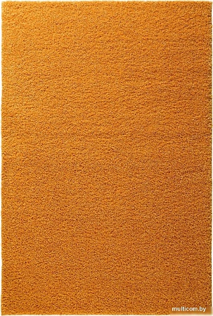 Ковер для жилой комнаты Moldabela Shaggy Viva Прямоугольник 1039 1 36100 (2.0x2.9)