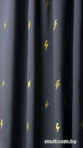 Комплект штор Pasionaria Флэш 290x260 с подхватами (мокрый асфальт)