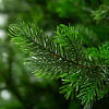 Елка National Tree Company Грация Премиум ГР/ПР-150 (150см, 3D)