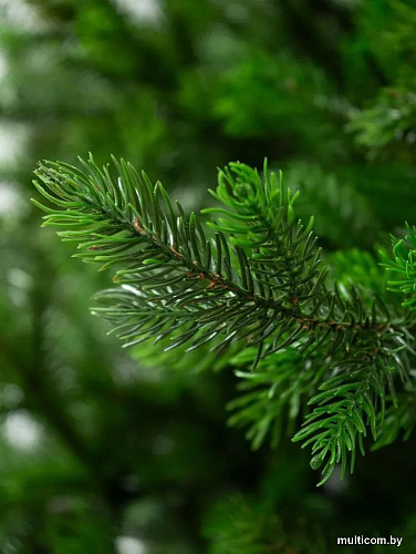 Елка National Tree Company Грация Премиум ГР/ПР-150 (150см, 3D)