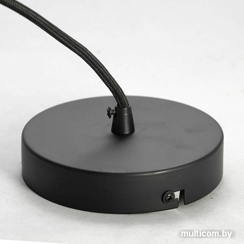 Лампа Lussole LOFT GRLSP-9861