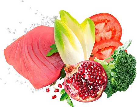 Сухой корм для собак Exclusion Monoprotein Tuna Noble Grain мелких пород NGATS02 (2 кг)