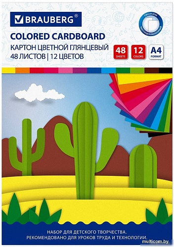 BRAUBERG Extra 113552 (48 л)