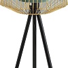 Торшер Risalux 42872/1GR 9917634 (зеленый/золото)
