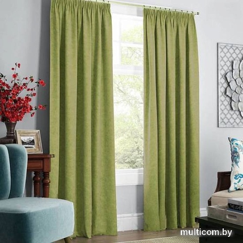 Комплект штор Pasionaria Софт 480x270 с подхватами (зеленый)