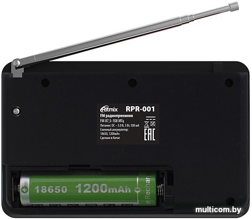 Радиоприемник Ritmix RPR-001 (черный)