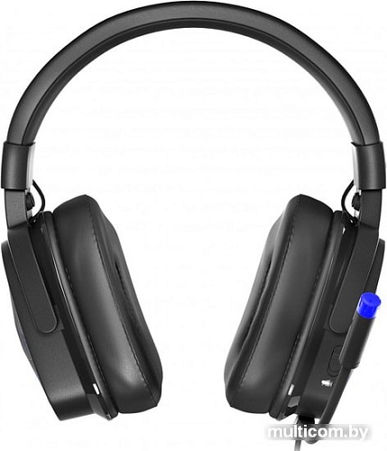 Наушники Genesis Radon 710