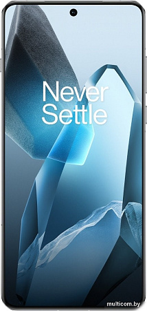 Смартфон OnePlus 13 16GB/512GB международная версия (синий)