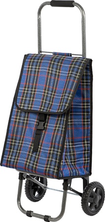 Сумка-тележка Рыжий кот D203 Isoterma