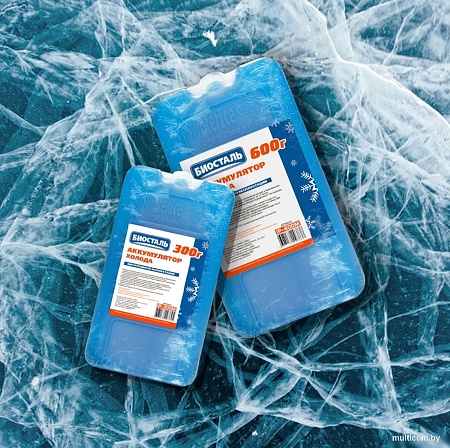 Аккумулятор холода БИОСТАЛЬ IP-600M 0.6л (синий)