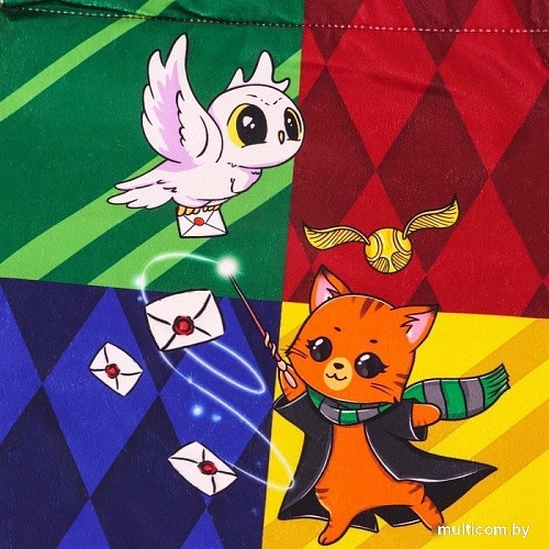 Мешок для обуви Milo Toys Волшебство 10099454