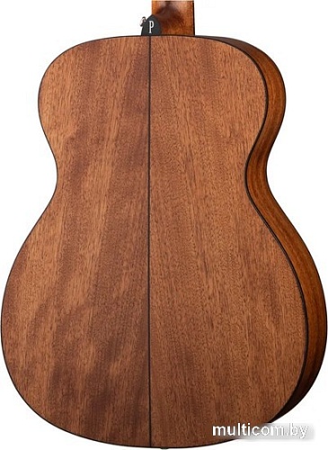 Акустическая гитара Parkwood S22M-NS