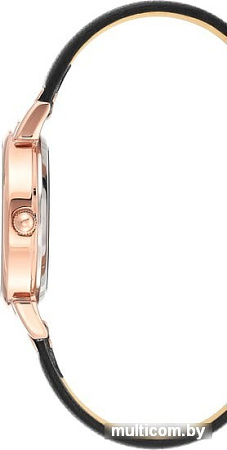 Наручные часы Anne Klein 3720RGBK