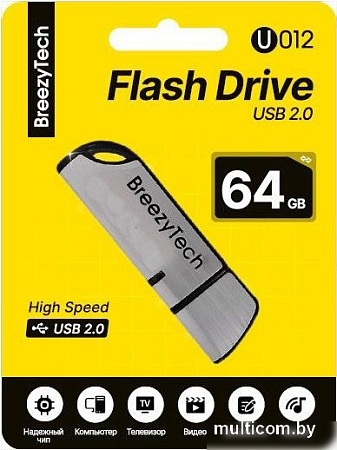 USB Flash BreezyTech U012 64GB (серебристый/черный)
