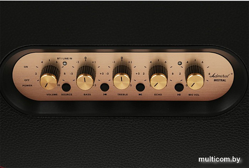 Беспроводная колонка Admiral Audio Mistral (черный)