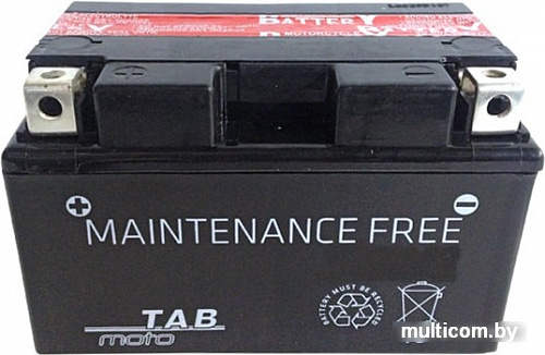 Мотоциклетный аккумулятор TAB YTZ5S-BS (4 А&middot;ч)