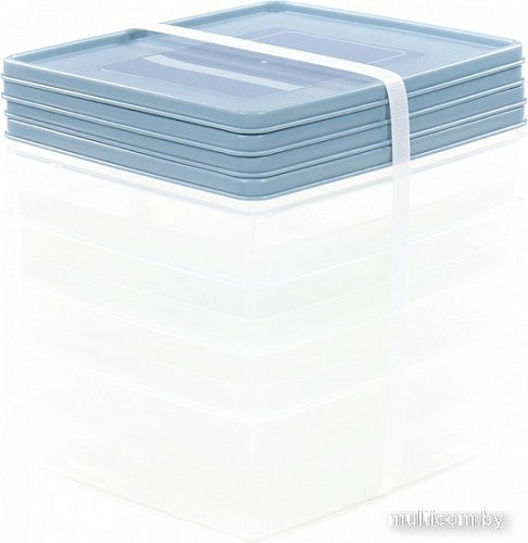 Набор контейнеров Полесье №13 2л с крышками 73706 (4 шт, прозрачный/серо-голубой)