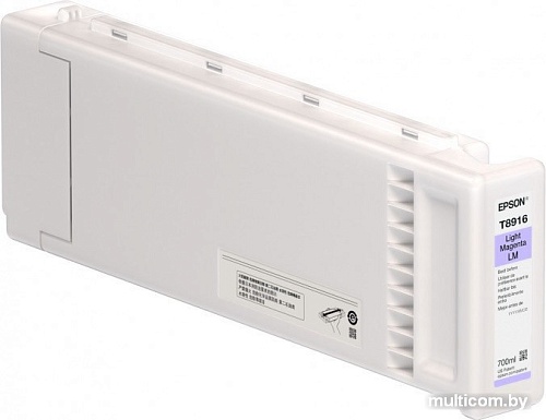 Картридж Epson C13T891600