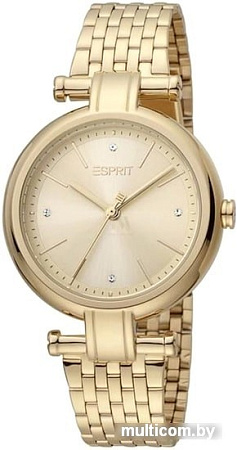 Набор часов с украшениями Esprit Noora ES1L268M0055