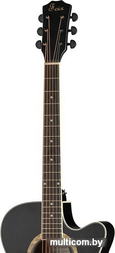 Акустическая гитара Foix FFG-2040C-BK