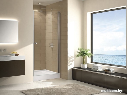 Душевая дверь Cezares Eco-O-B-1-65-C-Cr