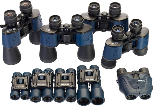 Бинокль Levenhuk Discovery Gator 8–20x25 77916