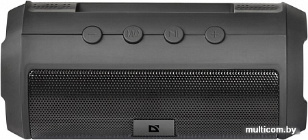 Беспроводная колонка Defender Enjoy S500