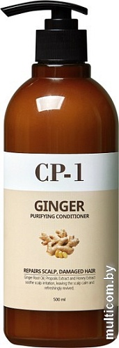 Шампунь Esthetic House CP-1 Ginger Purifying 500 мл