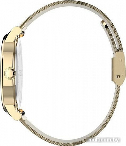 Наручные часы Timex TW2U05400