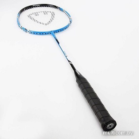 Теннис/бадминтон Torres Tour 4 BD-20501