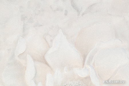 Виниловые обои Палитра PL72255-22