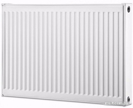 Стальной панельный радиатор Buderus K-Profil Тип 22 300x1000