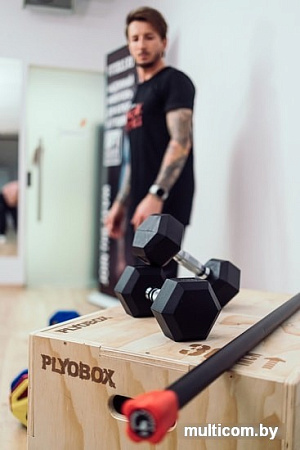 Гантели Original FitTools FT-HEX-45 45 кг