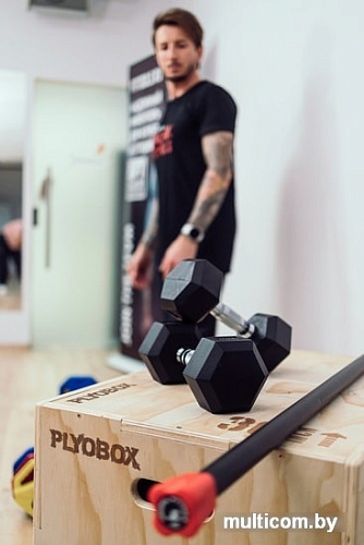Гантели Original FitTools FT-HEX-45 45 кг