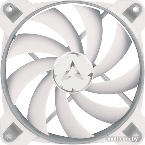Arctic BioniX F120 (серый/белый)