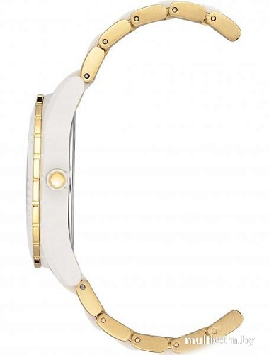 Наручные часы Anne Klein 3910WTGB