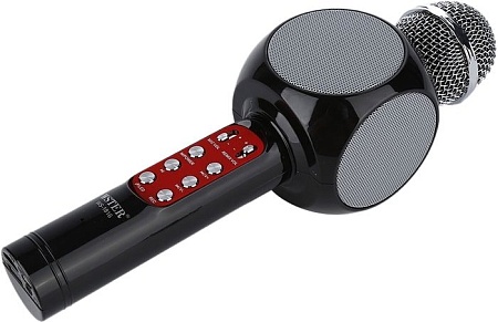 Микрофон Wise WS-1816 (черный)