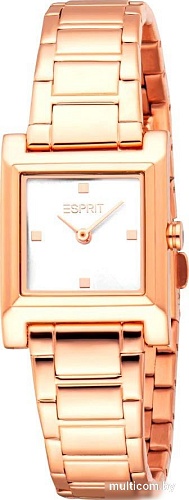 Наручные часы Esprit ES1L474M0045