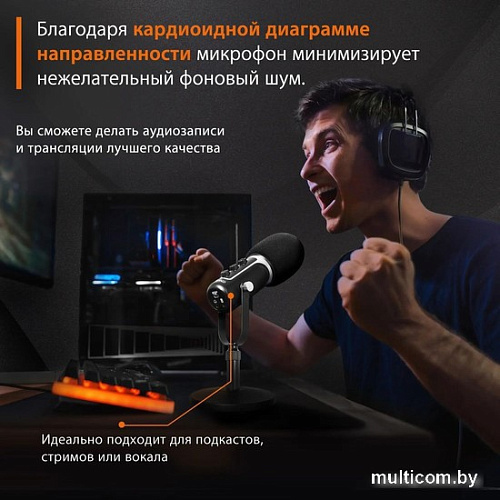 Проводной микрофон SunWind SW-SM500G